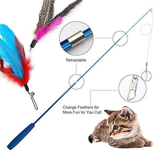  Interactive Feather Cat Teaser Wand cashymart