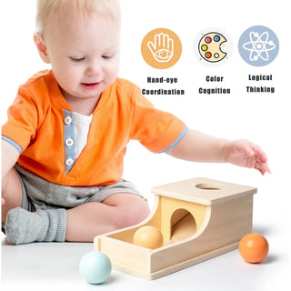  Montessori Coin Ball Drum cashymart