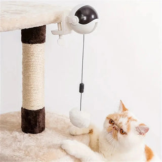  Interactive Electric Cat Toy cashymart