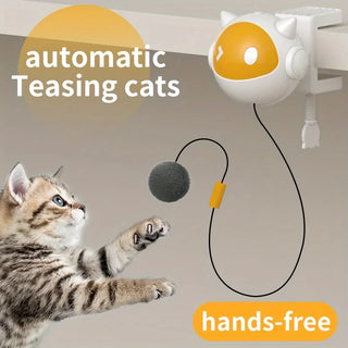  Exciting Electric Cat Balls cashymart