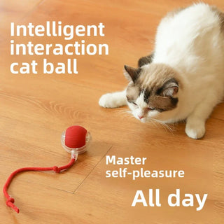  Interactive Rechargeable Cat Ball Toy cashymart