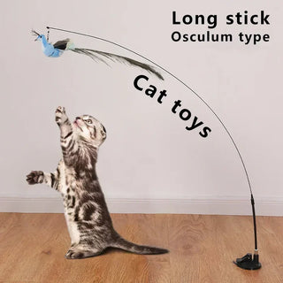  Interactive Peacock Cat Toy with Bell cashymart