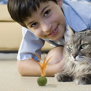  Interactive Catnip Feather Ball cashymart