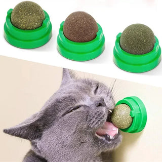  Natural Catnip Mint Balls cashymart