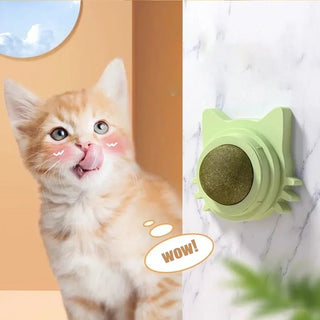  Interactive Catnip Wall Ball Toy cashymart