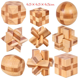  Wooden Brain Teaser Game cashymart