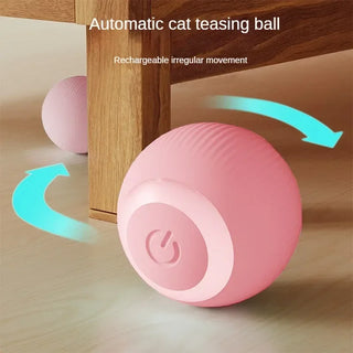  Interactive Rechargeable Cat Ball Toy for Endless Play Fun cashymart