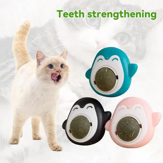  Rotatable Catnip Mint Balls - Fun & Safe Teeth Grinding Toys cashymart