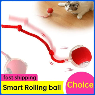  Dynamic Motion Cat Ball Toy cashymart