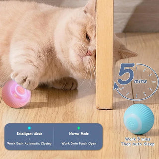  Electric Rolling Cat Toy Ball cashymart