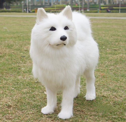  Samoyed Plush Toy cashymart