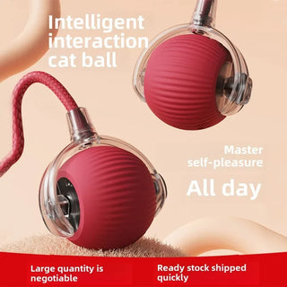  Interactive Rechargeable Cat Ball Toy cashymart