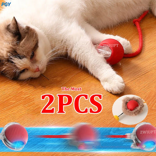  Interactive Rechargeable Cat Ball Toy cashymart