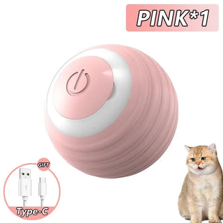  Interactive USB Rechargeable Cat Ball Toy cashymart