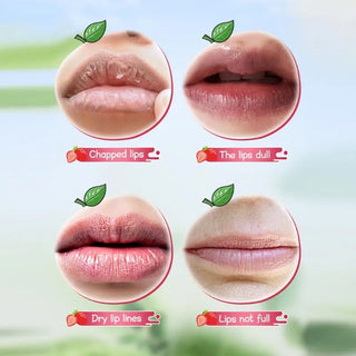  Strawberry Infusion Lip Balm cashymart