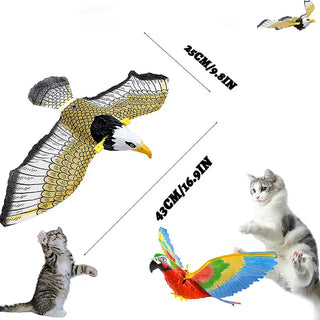  Luminous Electric Eagle Cat Toy – Interactive Bird Chaser cashymart