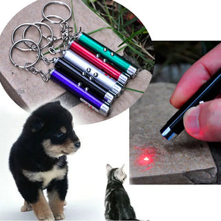  Interactive LED Laser Pointer Toys for Cats cashymart