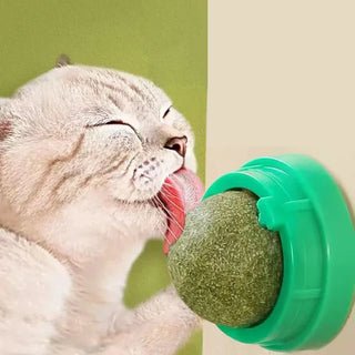  Catnip Wall Ball Toy & Snack: Natural Fun for Healthy Cats! cashymart