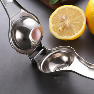  Stainless Steel Citrus Fruit Juicer cashymart