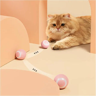  Electric Rolling Cat Toy Ball cashymart