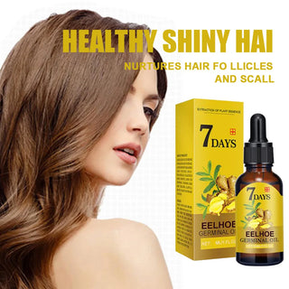  EELHOE Ginger Essence Hair Growth Oil cashymart