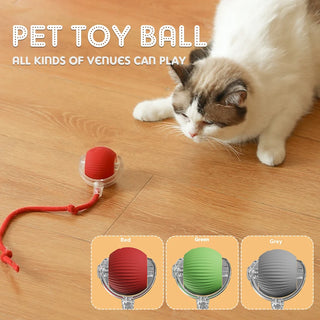  Smart Rechargeable Cat & Dog Interactive Rolling Toy cashymart