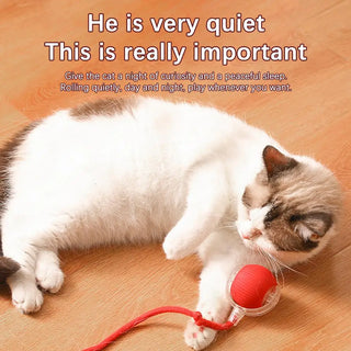  Chirping Motion Cat Ball: Interactive Teaser Toy for Playful Kittens cashymart