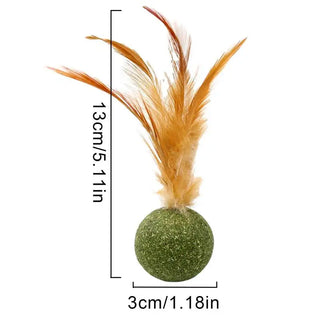  Interactive Catnip Feather Ball cashymart