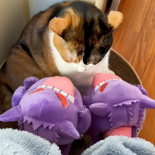 Gengar-Hausschuhe