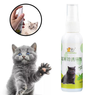  50ml Natural Catnip Spray cashymart