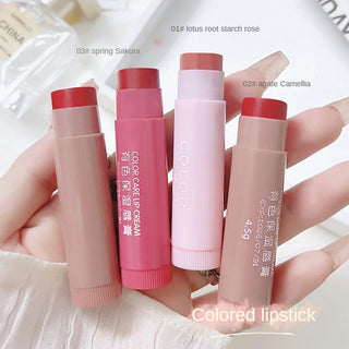  Lip Balm cashymart