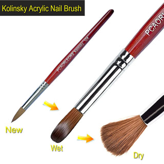  UsiDaer Kolinsky Nail Brush cashymart