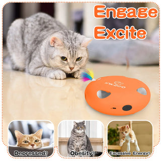  Interactive Whack-A-Mole Cat Toy cashymart