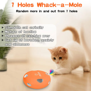  Interactive Whack-A-Mole Cat Toy cashymart