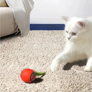  Interactive USB Rechargeable Cat Ball Toy cashymart