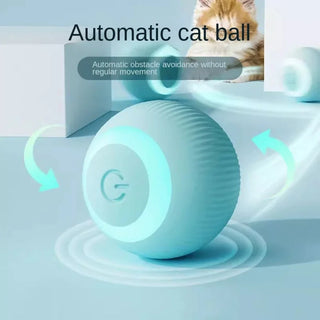  Interactive Rechargeable Cat Ball Toy for Endless Play Fun cashymart