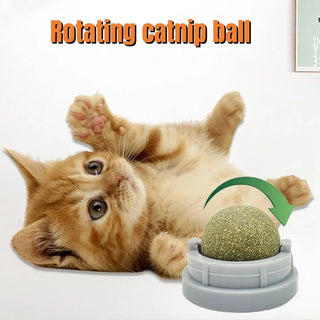  Healthy Catnip Wall Balls cashymart