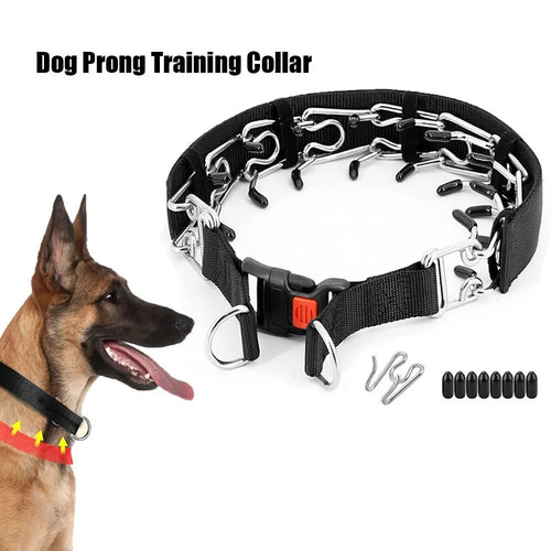 Dog Prong Training Collar
