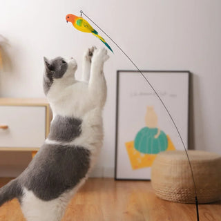  Interactive Peacock Cat Toy with Bell cashymart