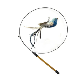  Interactive Peacock Cat Toy with Bell cashymart