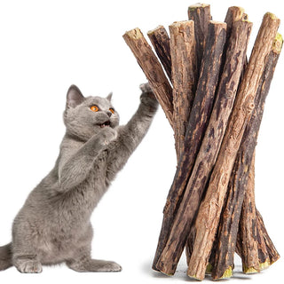  10-Pack Natural Catnip Chew Sticks cashymart