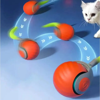  Interactive USB Rechargeable Cat Ball Toy cashymart