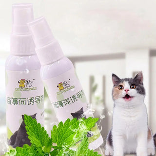  50ml Natural Catnip Spray cashymart