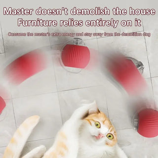  Dynamic Motion Cat Ball Toy cashymart