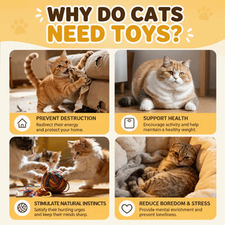 Automatic Cat Teaser Toy
