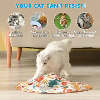  Interactive 360° Rotating Electric Cat Toy cashymart