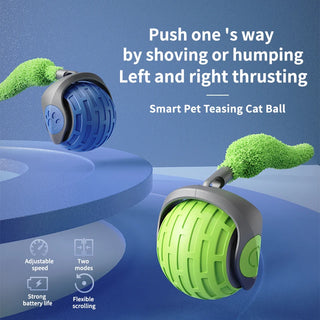  USB Rechargeable Interactive Rolling Ball cashymart