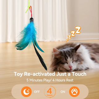  Interactive LED Cat Toy with Feather & Mouse for Endless Fun cashymart