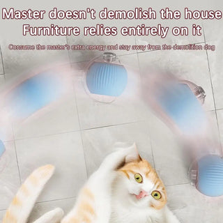  Rechargeable Smart Cat Toy Ball with Faux Tail and Auto Play Features cashymart