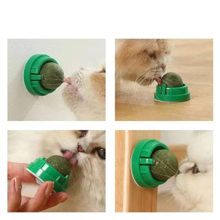  Catnip Wall Ball Toy & Snack: Natural Fun for Healthy Cats! cashymart